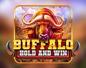 Buffalo Hold And Win